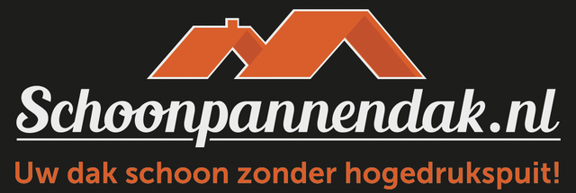 schoonpannendak.nl